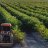 Pacific Canadian Fruit Packers