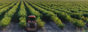 Pacific Canadian Fruit Packers