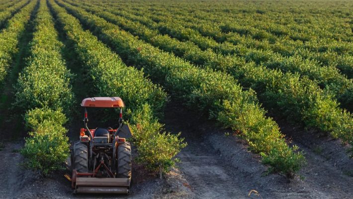 Pacific Canadian Fruit Packers